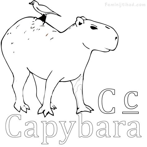 Easy Capybara Coloring Pages PDF - Coloringfolder.com