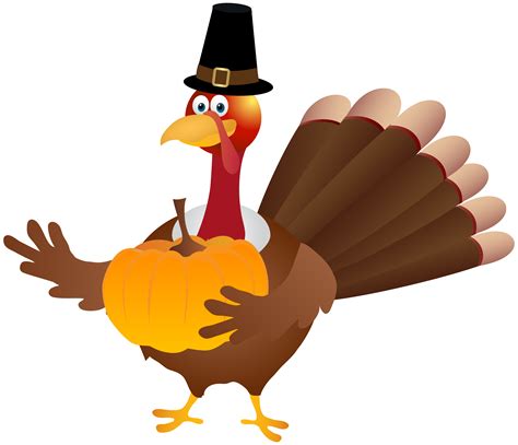 Bird Parrot Clip Art Transparent Thanksgiving Turkey - vrogue.co