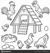 Chicken Coloring Coop Hen Pages Outline Drawing Kids Three Front Netart  sketch template