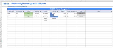 PMBOK Project Management Model Template – Project Management Software ...