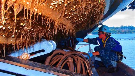 INGENIOUS Barnacles Removing From Ships And Boat SATISFYING Barnacles Removing Process # ...