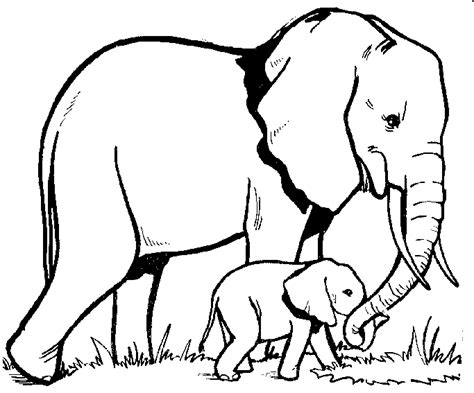 Baby Elephant Outline - Cliparts.co