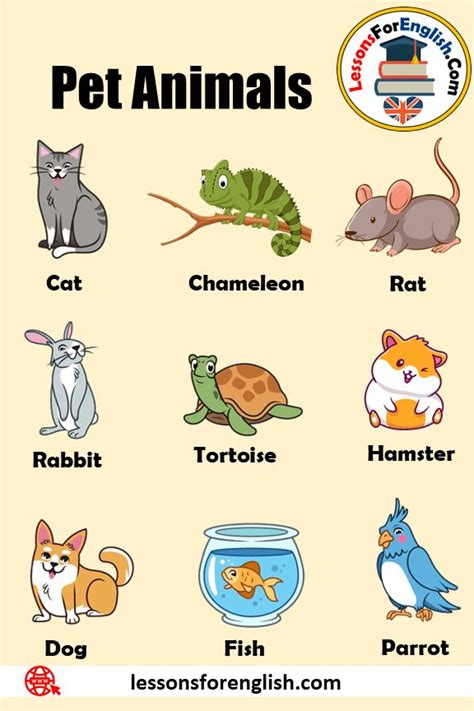 Pet Animals Name List With Picture