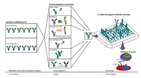 IJMS | Free Full-Text | Greatest Hits—Innovative Technologies for High Throughput Identification ...