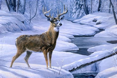 Free Wallpapers laura mark finberg november snow painting deer animal creek forest winter snow ...