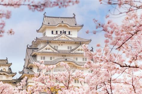 Cherry Blossom Festival in Japan: When and Where Go