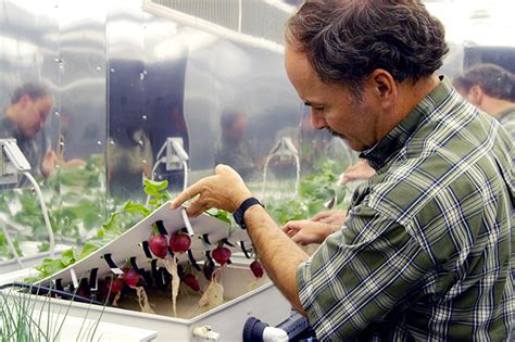 Growing Plants in Space : USDA ARS