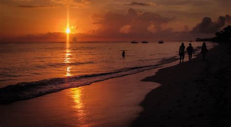 Free Tropical Sunrise Stock Photo - FreeImages.com