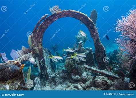 Wreck Arch and Yellow Goatfish Stock Photo - Image of coral, underwater: 96434196