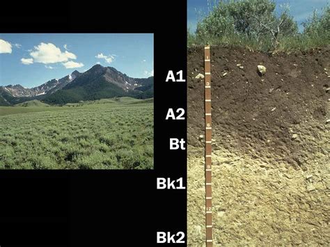 Mollisols | Soil & Water Systems | University of Idaho