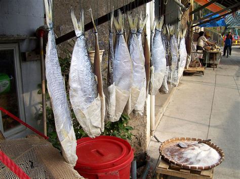 Fish Preservation by Drying, Salting, or Freezing | Delishably