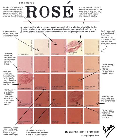 How To Make A Rose Wine Chart For Your Next Tasting - Food Republic