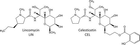 Structures of the main natural lincosamide antibiotics | Download Scientific Diagram