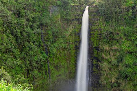 "Akaka Falls Big Island Hawaii" by Stocksy Contributor "Neal Pritchard ...