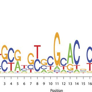 Sequence logo of the novel motif | Download Scientific Diagram