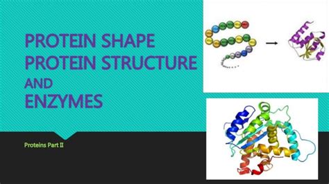 Protein structure and shape, Denaturation and Enzymes