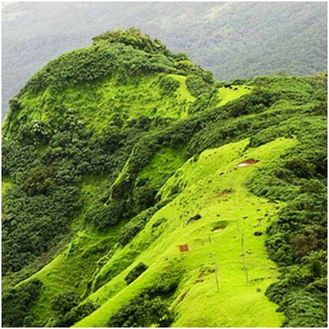 Maharashtra Hill Station: You can plan to visit these hill stations of ...