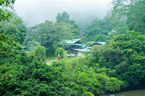 Wildlife watching in Danum Valley in Borneo