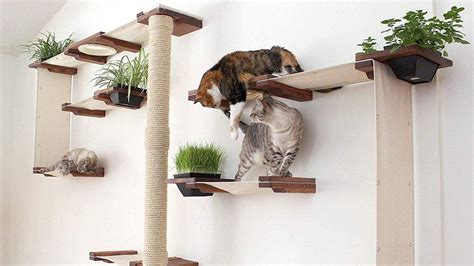 19 Modern Cat Trees to Buy Immediately | The Dog People by Rover.com