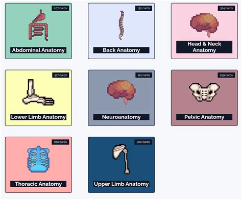 Anatomy Flashcard Collection | 2000+ Cards | Geeky Medics