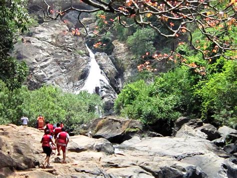 Dudhsagar Falls - Guide to Lesser Known Gem of Goa, India