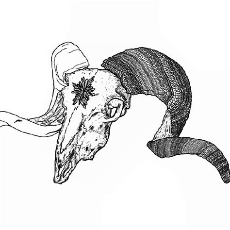 Elephant Skull Drawing at GetDrawings | Free download