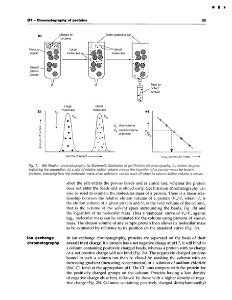 Relative elution volume - Big Chemical Encyclopedia