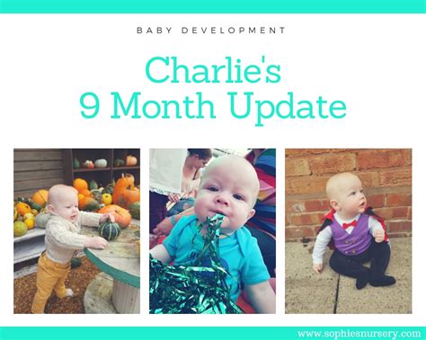 Baby Development at 9 Months Old: Charlie's Monthly Update - Sophie's Nursery