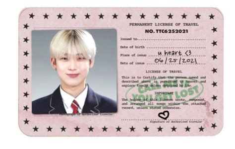 Passport Template, Id Card Template, Member Card, School Id, Beige Icons:), Aesthetic Space ...