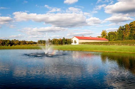 11 Yadkin Valley Wineries Not to Miss - Travel Addicts