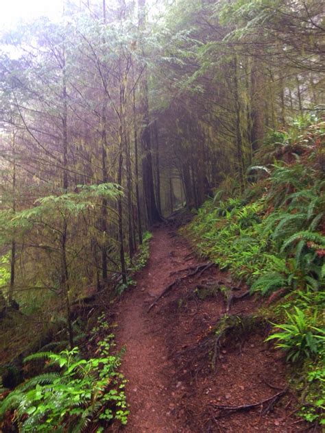 Hiking the Oregon coast | Oregon coast, Country roads, Coast