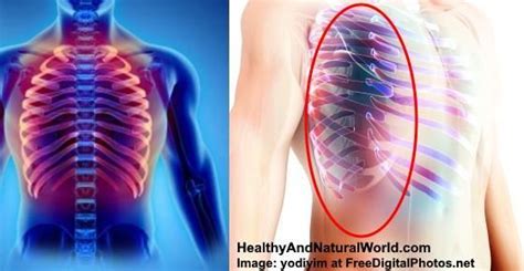 Anatomy Under The Right Rib - Right Upper Quadrant Anatomy And Causes ...