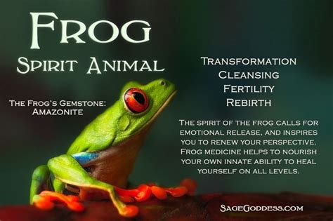 Frog Spirit Guide … | Spirit guides, Animal spirit guides, Animal totem spirit guides