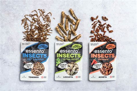 Superfood - Nicht alle Insekten-Snacks sind geniessbar: Die einen schmecken nach Chips, die ...