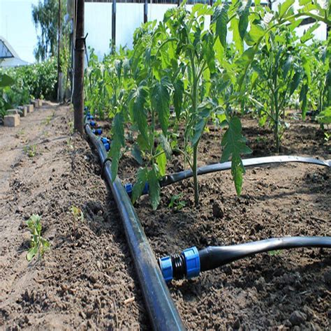 Greenhouse Drip Irrigation System / Overhead Sprinkler System For ...