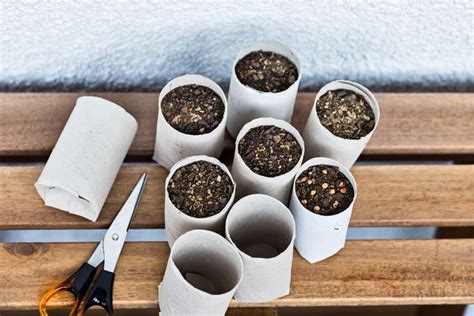 How To Make Homemade Seed Starting Containers. Biodegradable, Earth ...