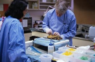 Forensic Pathology 101 - Everything you need to know about Forensic Pathology