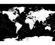 Black and White World Poltical Map Mural