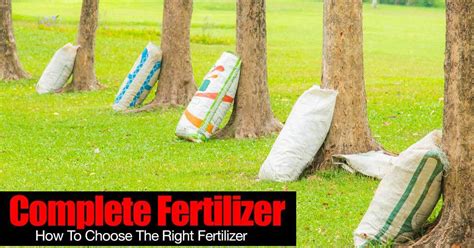 Complete Fertilizer: How To Choose The Right Fertilizer