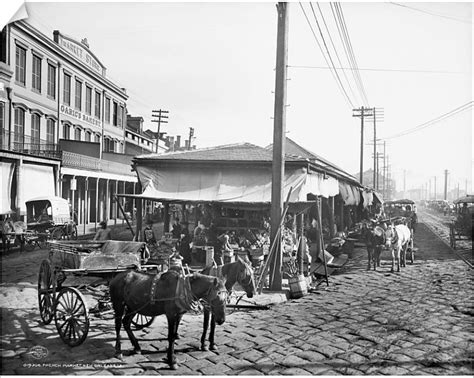 Prints of NEW ORLEANS: MARKET, c1906. Scene in the French Market in New ...