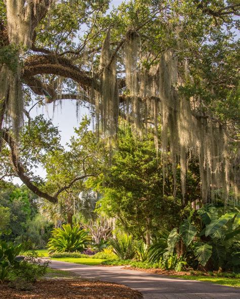 Fairchild Tropical Botanic Garden, Miami - Sports-Outdoors Review ...