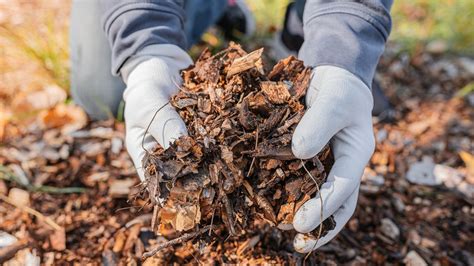 How to compost at home: Rich soil for gardening | CNN Underscored