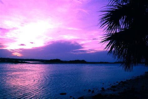 Paradise | Palm coast florida, Palm coast, Beach local