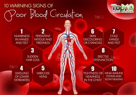 Simple Exercises That Improve Poor Circulation in 30 Minutes | Heart | Poor circulation ...