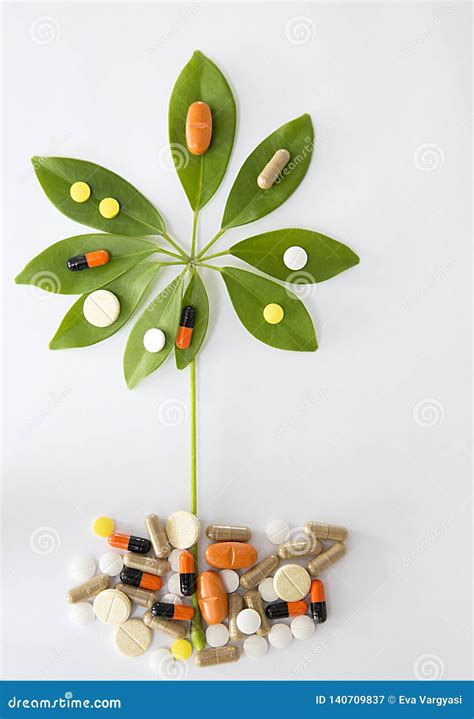 Nature Medicine, Vitamine Tree Stock Image - Image of medicine, capsules: 140709837