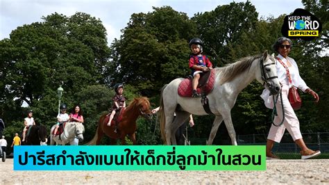 Animal Rights Activists Succeed in Ending Children's Rides in Paris Parks for the Welfare of ...