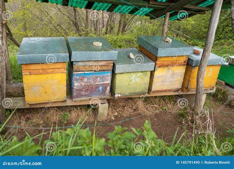 Bee Hives on Meadow in Italy Close Up Stock Photo - Image of grass, countryside: 145791490