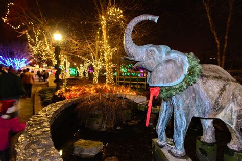 St. Louis Zoo's Wild Lights Christmas Display