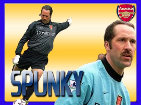 David Seaman - All About Goal Keeper