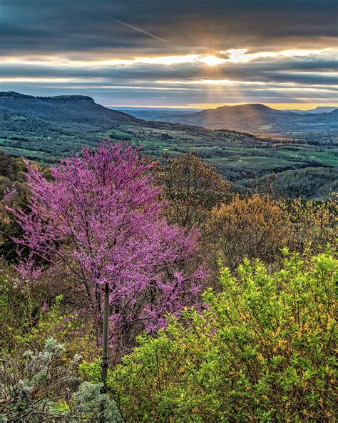 Grand Canyon Of Arkansas Spring Sunrise Photograph by Gregory Ballos ...